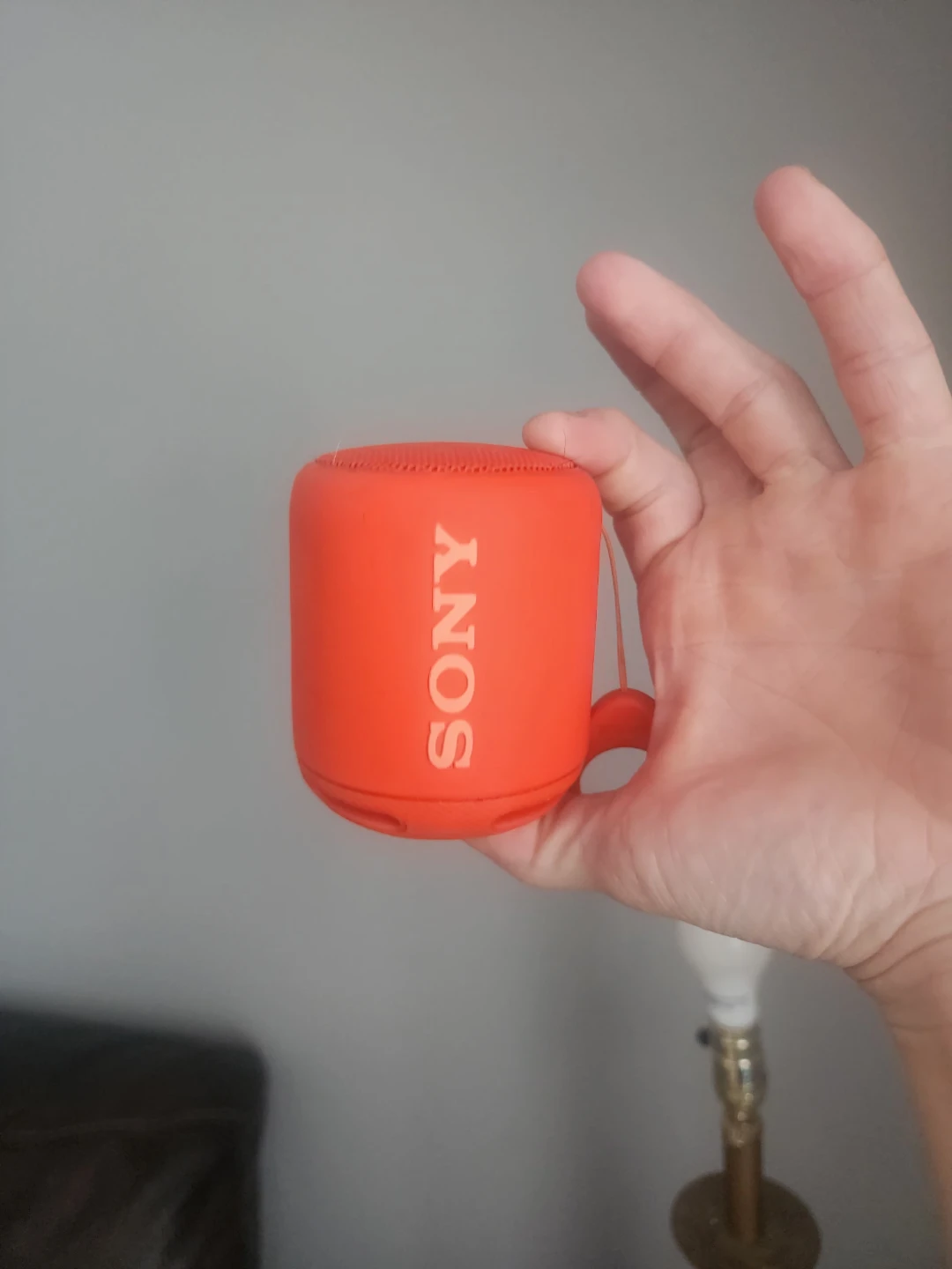 Sony Portable Wireless Speaker - photo 2
