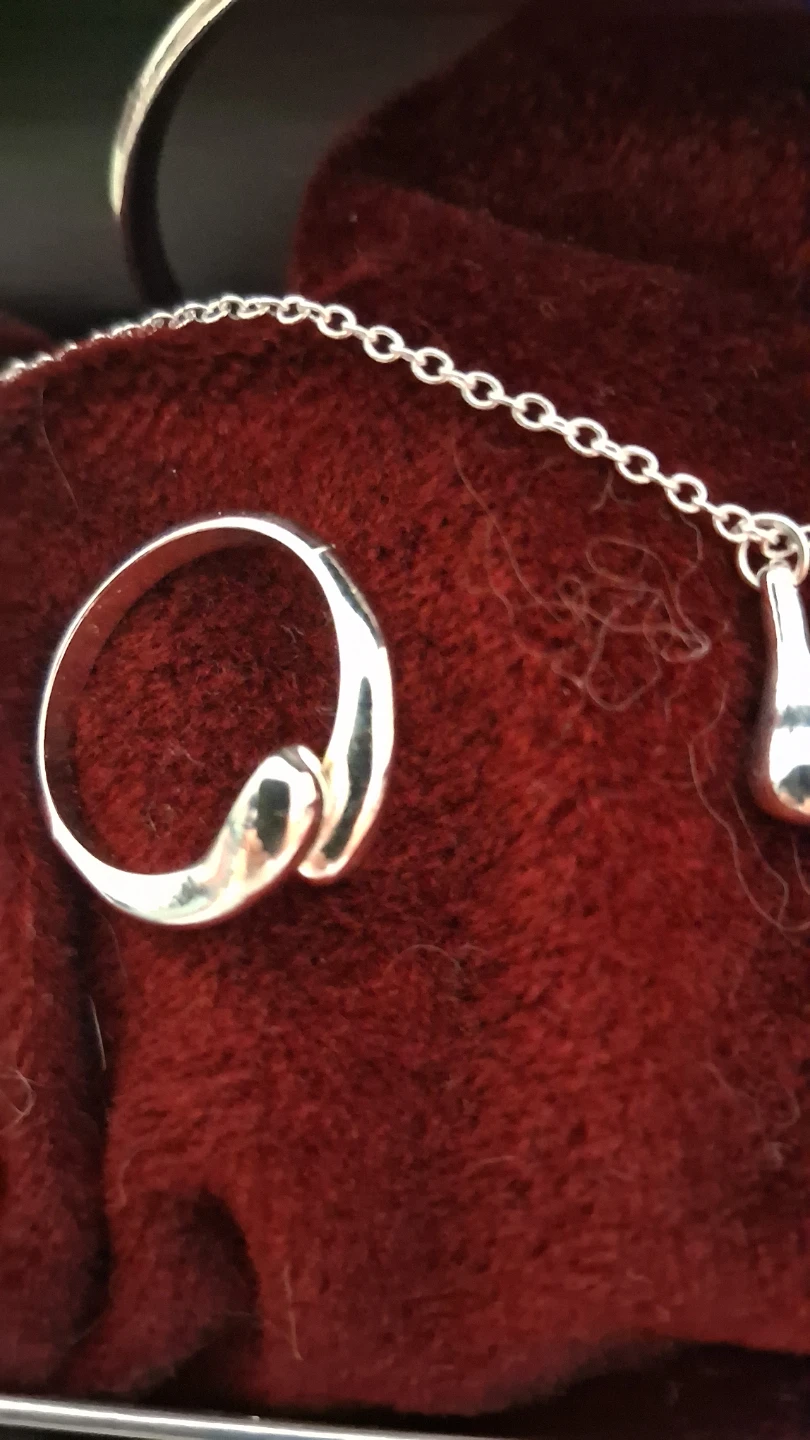 Silver Plated Teardrop Jewelry Set - photo 2