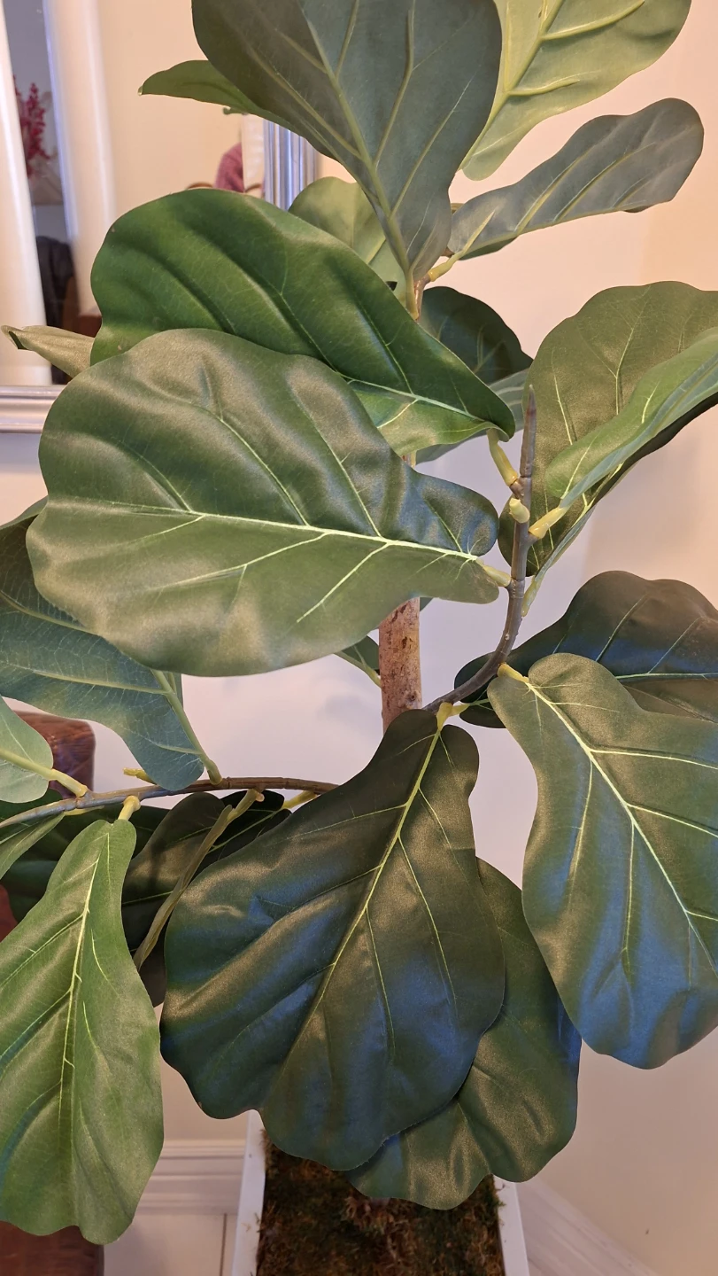 Artificial Fiddle Leaf Fig Plant in White Planter - photo 3