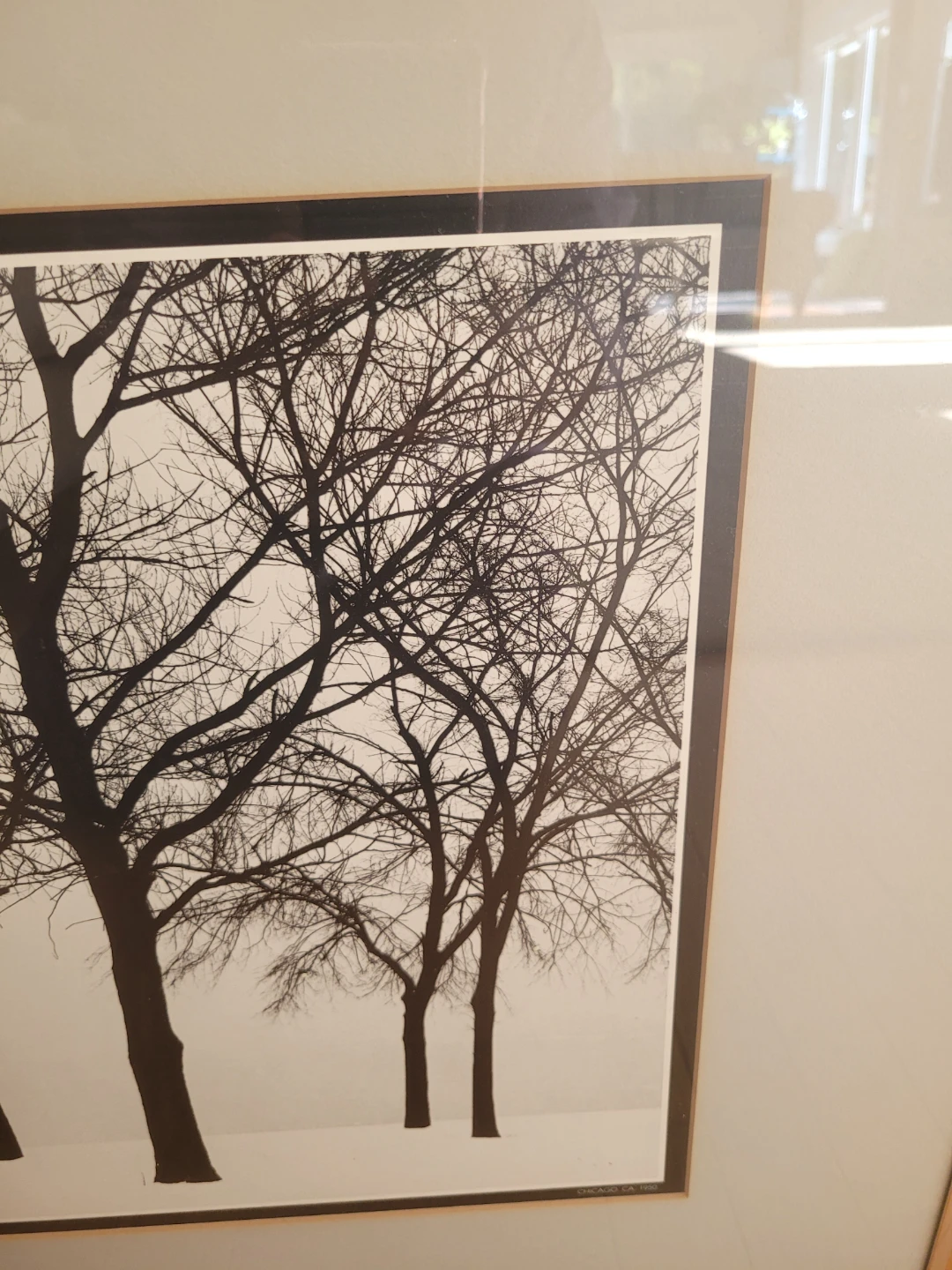 Harry Callahan Chicago 1950 Framed Print - photo 4