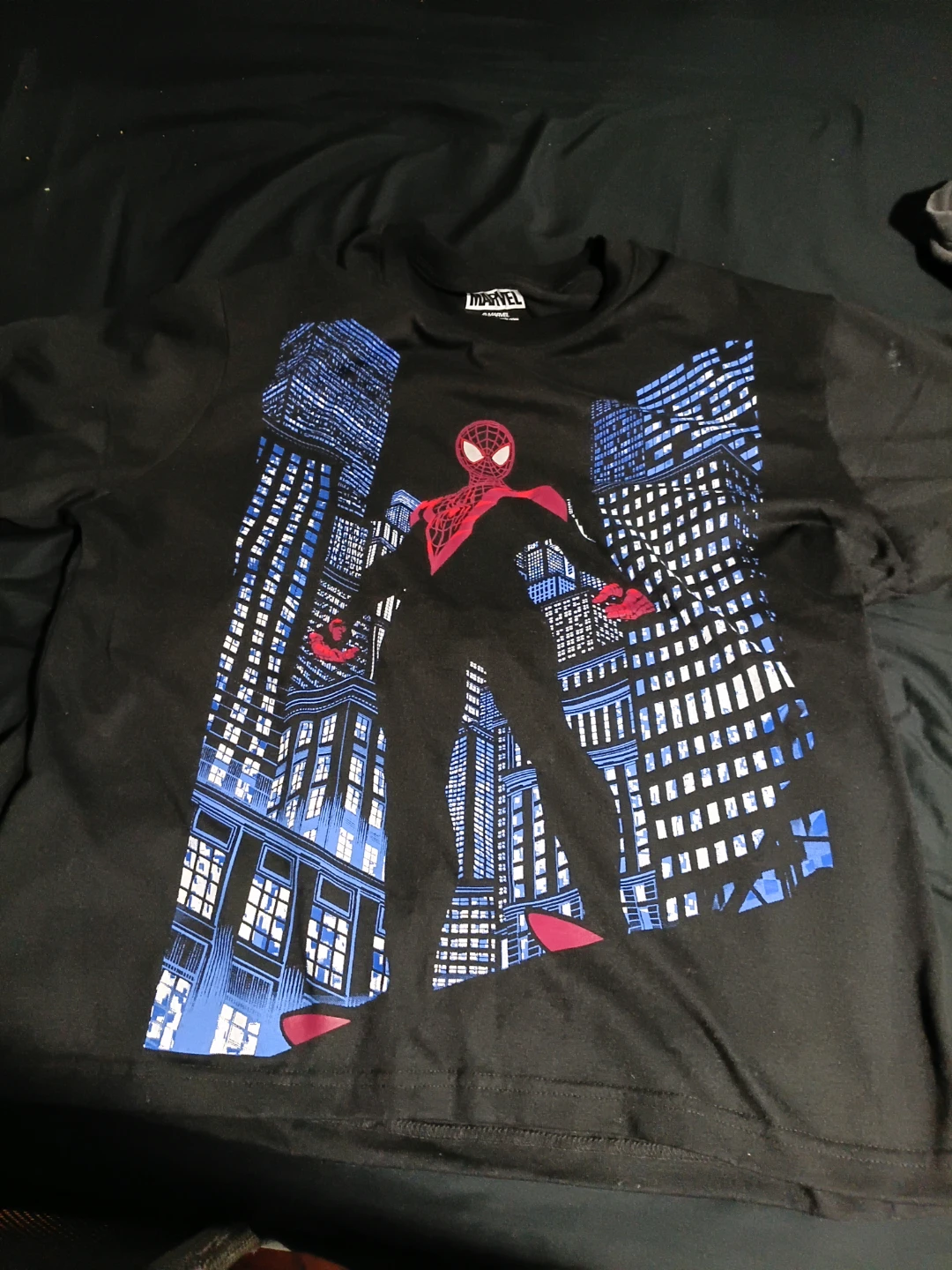Marvel Spider-Man Black Graphic T-Shirt