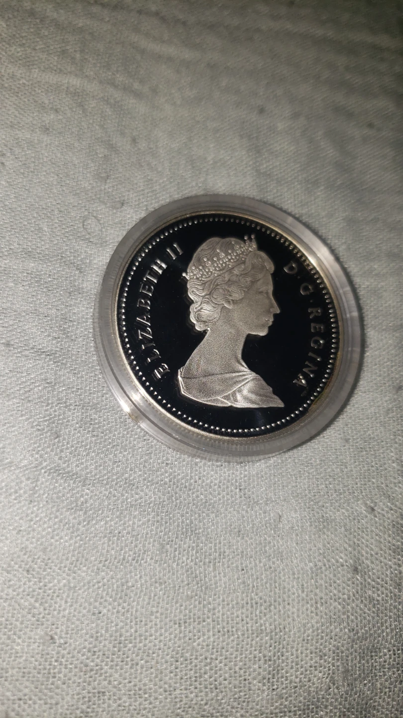 1987 Canadian Davis Strait Commemorative Silver Dollar - photo 3