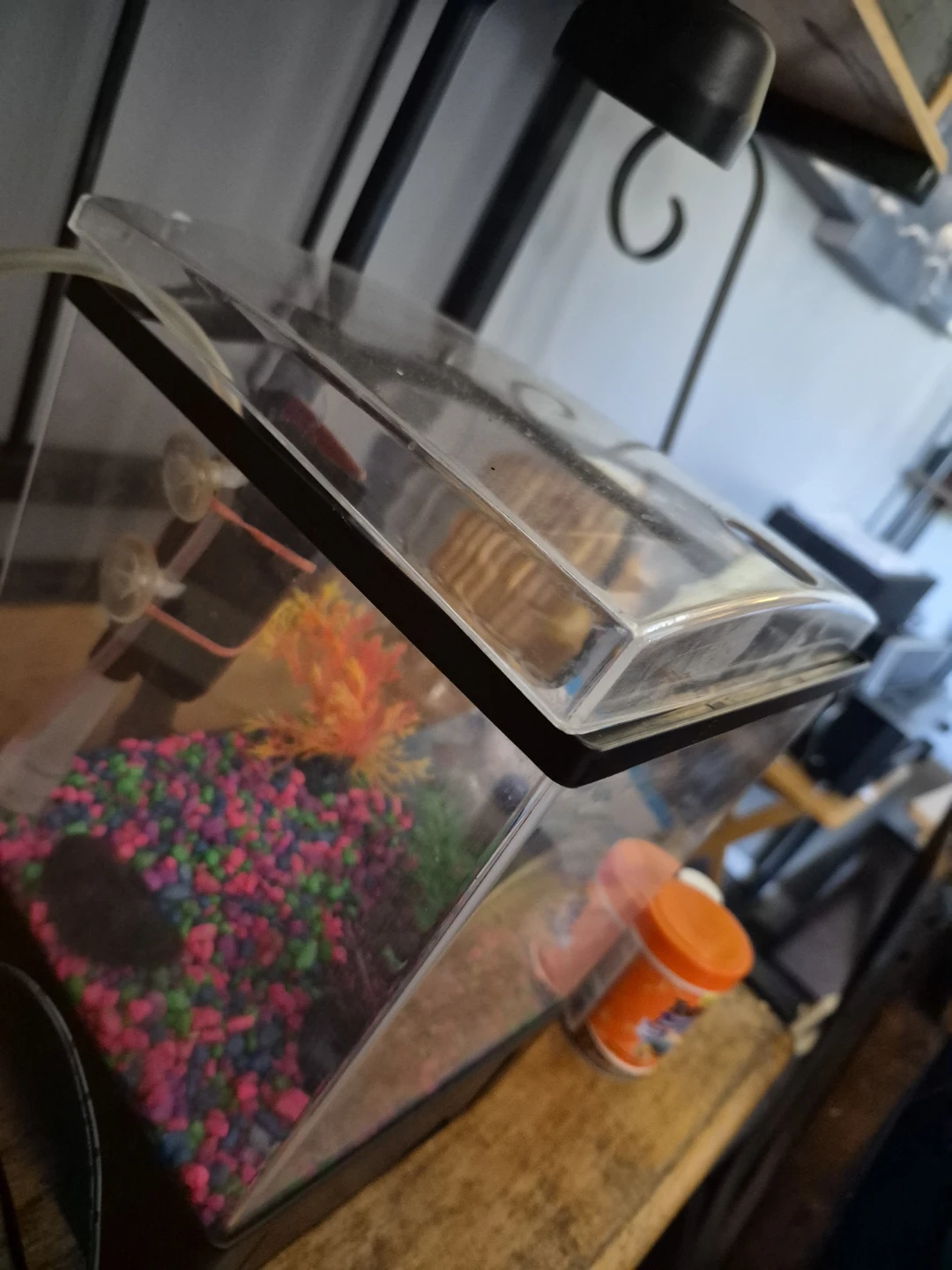 Top Fin Aquarium Tank Setup - photo 5