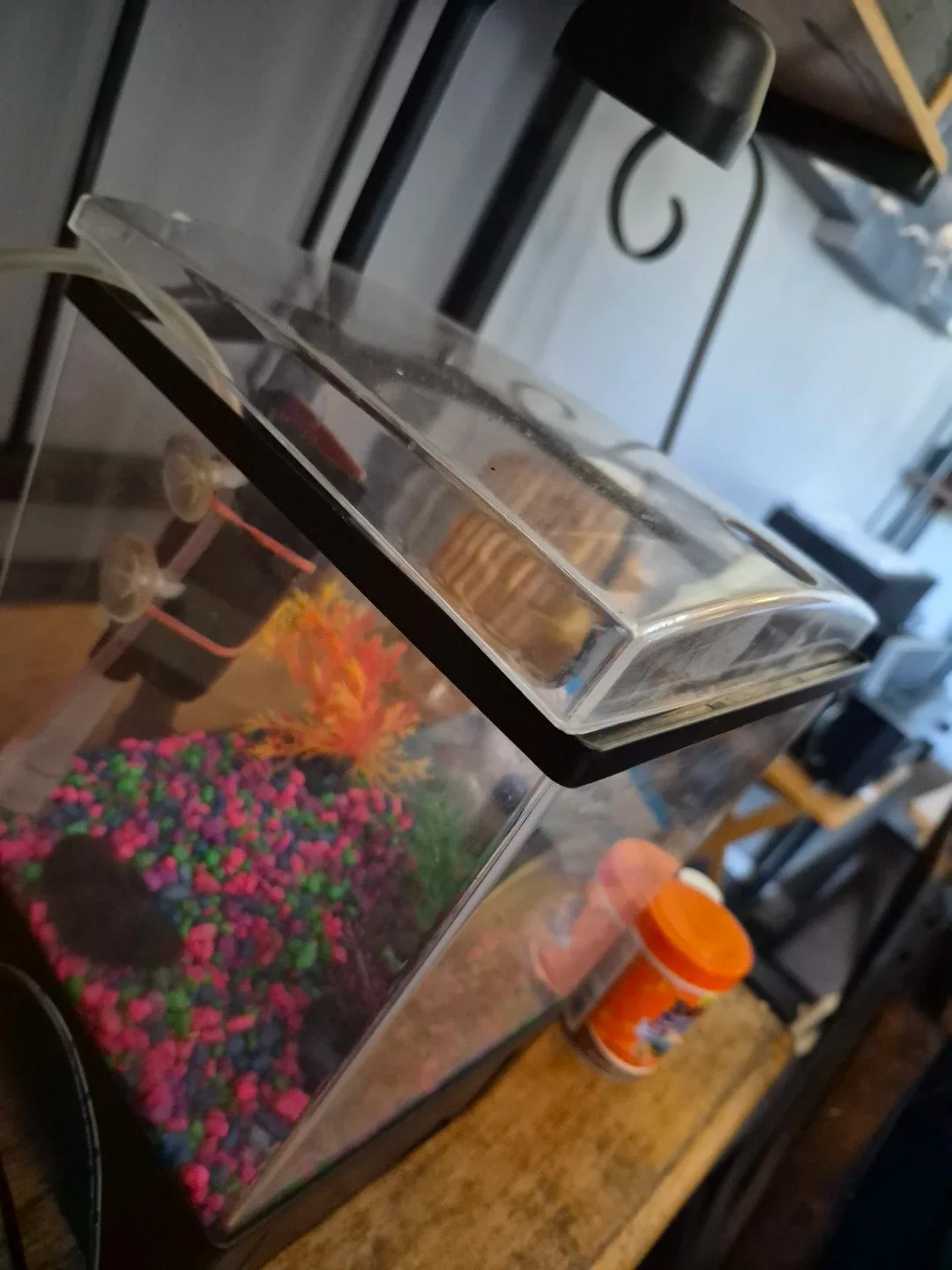 Top Fin Aquarium Tank Setup - photo 5