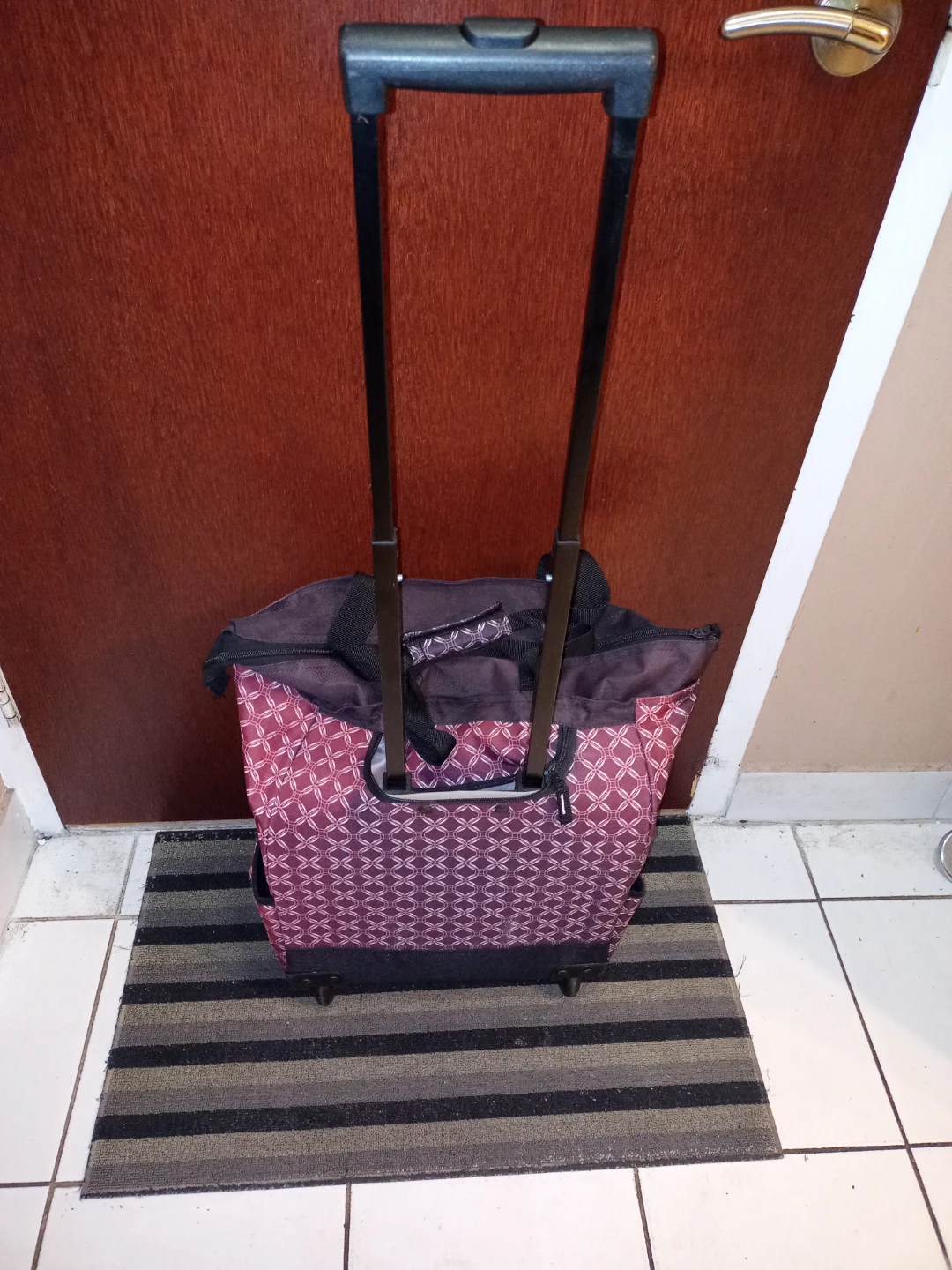 Shopping Cart / Bag - photo 4