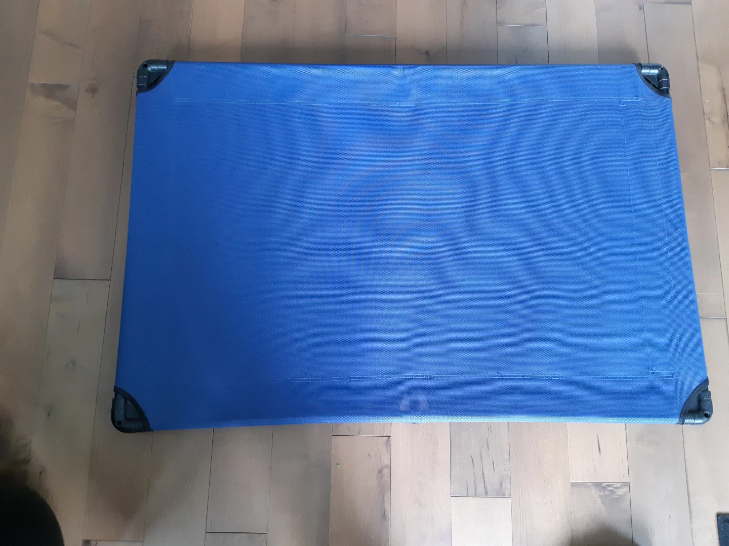 Blue Elevated Pet Bed