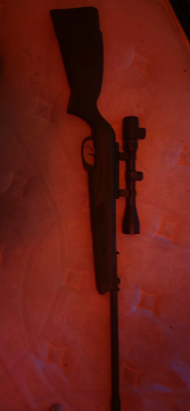 Gamo Air Rifle with Scope