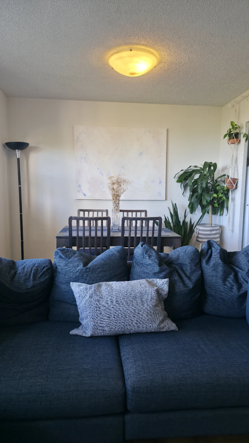 Private room in a 2 bed 1 bath apartment - photo 5