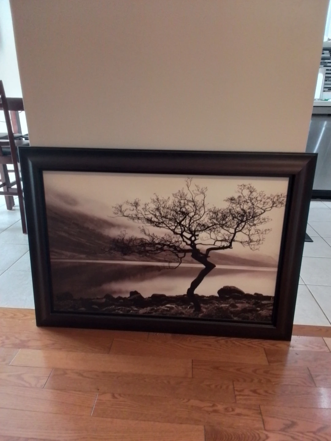 Framed Black and White Landscape Wall Art