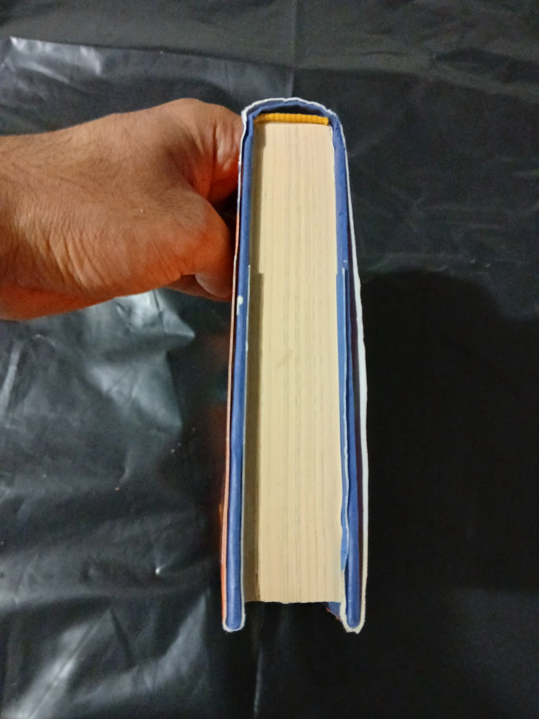 PottyMouth and Stoopid by James Patterson - photo 2