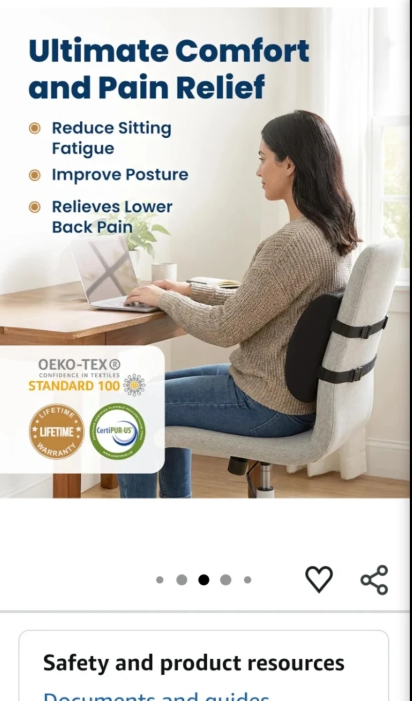 Everlasting Comfort Lumbar Support Pillow