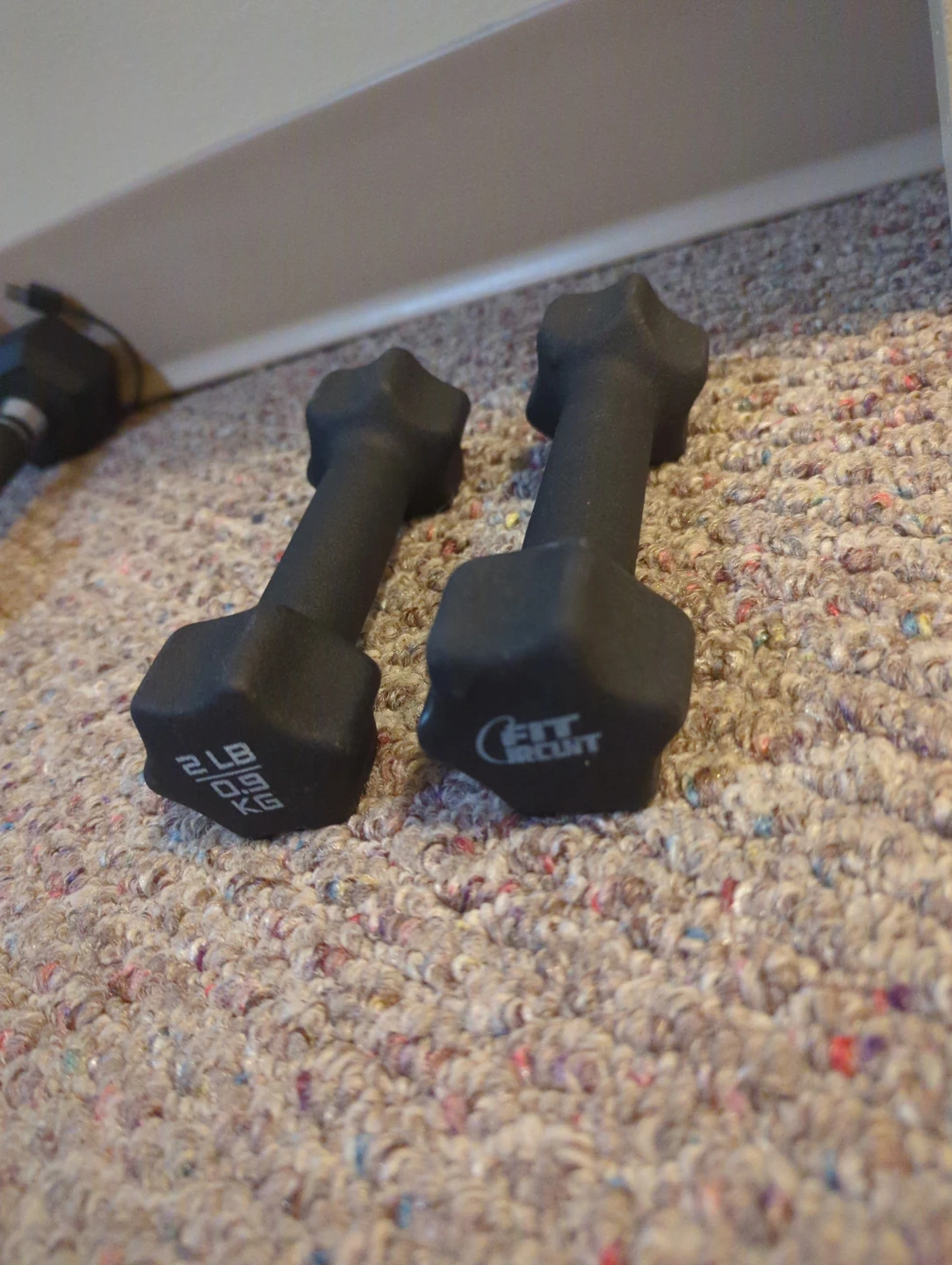 Fit Circuit 2 lb Dumbbell Pair - photo 3
