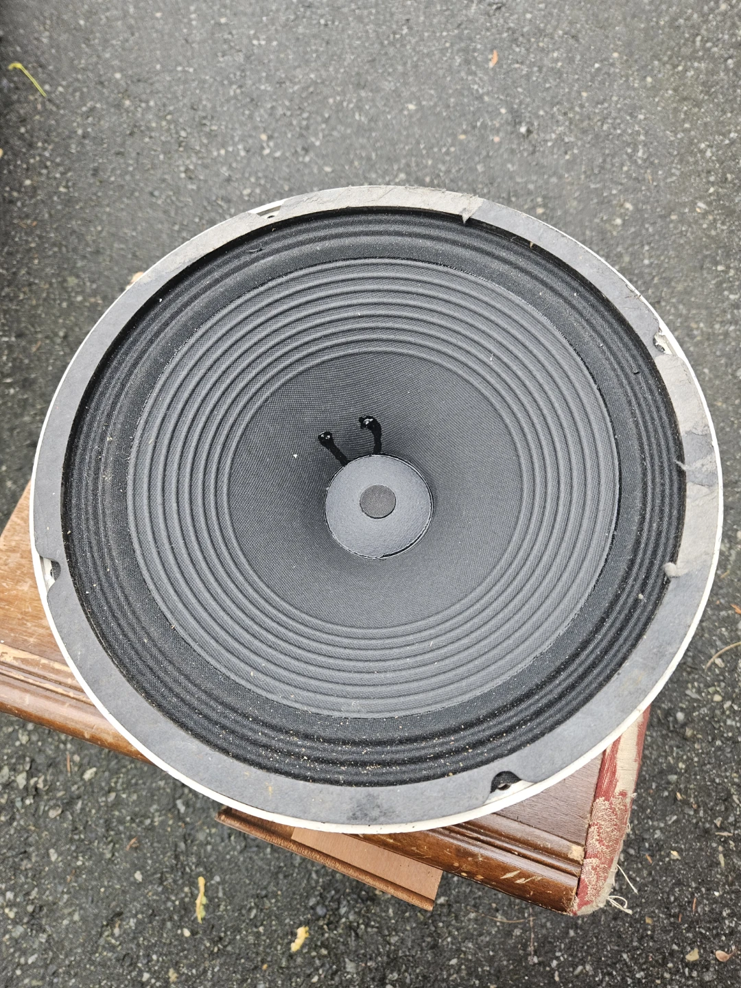 Electro-Voice SP12B 12-inch Speaker - photo 2