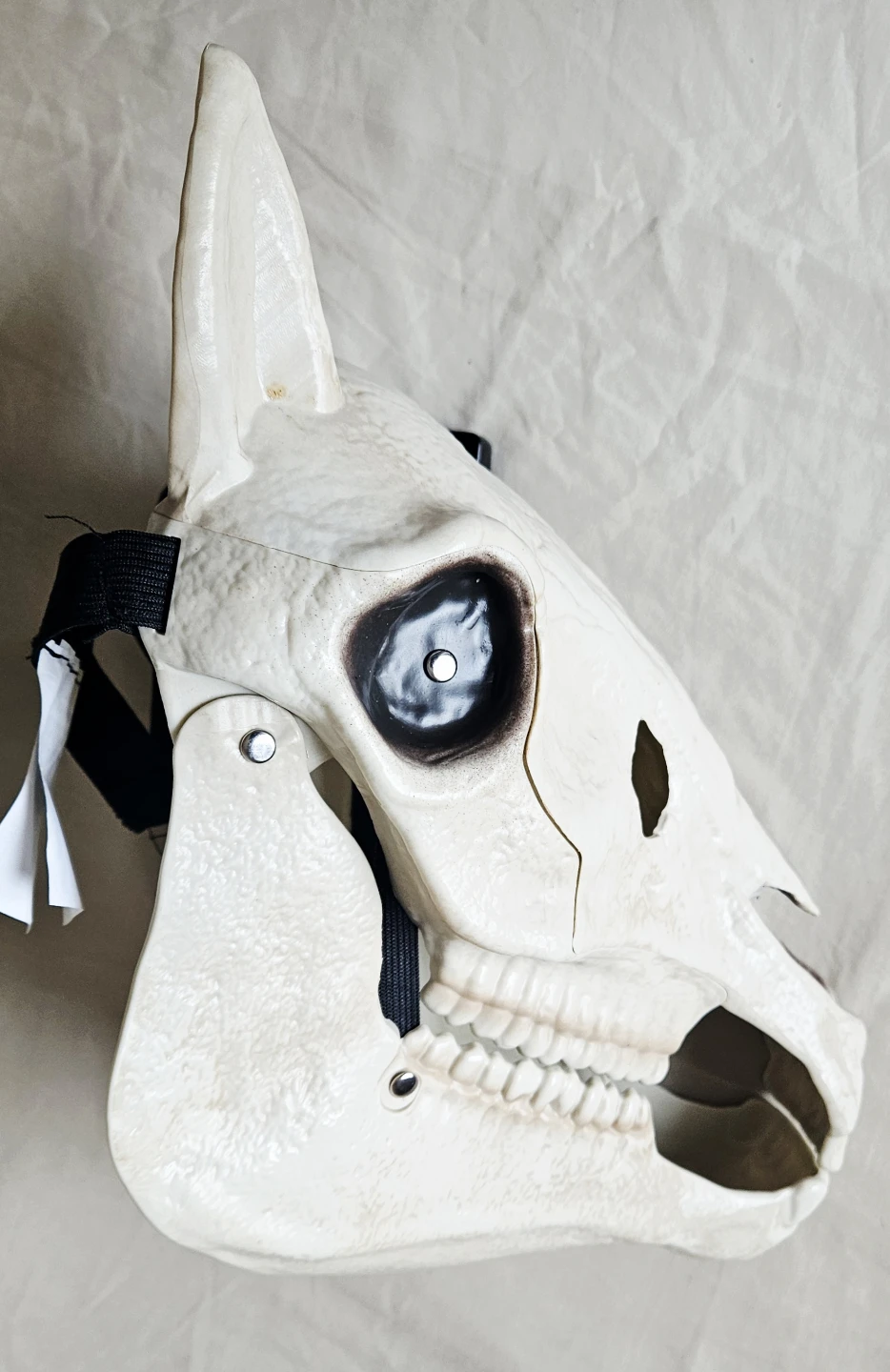 Horse Skeleton Skull Mask 🐎 - photo 3