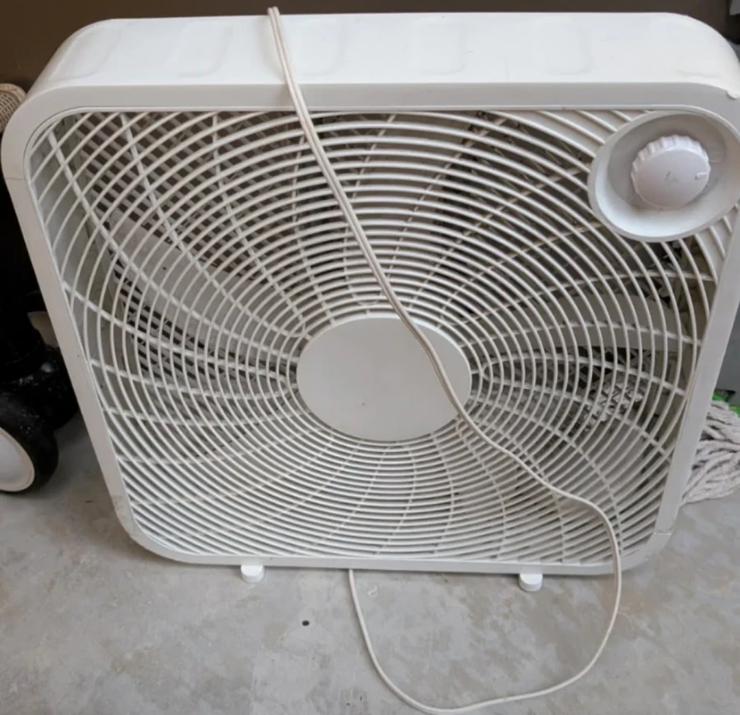 White Fan - photo 2