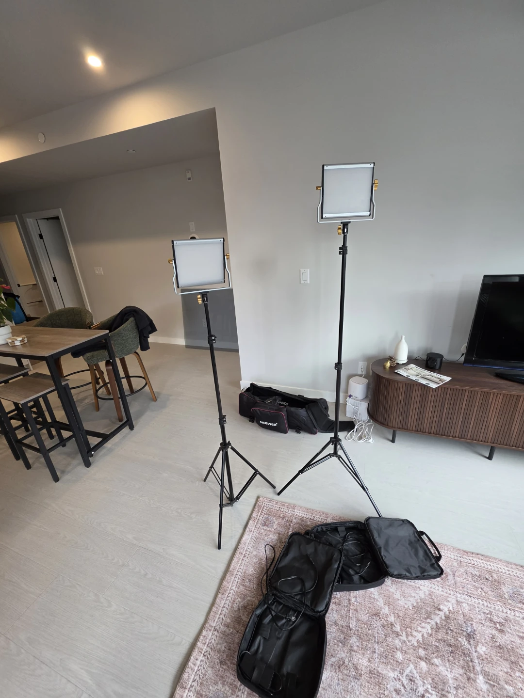 NEEWER 2-Piece LED Video & Photography Lighting Kit with Stands - photo 4