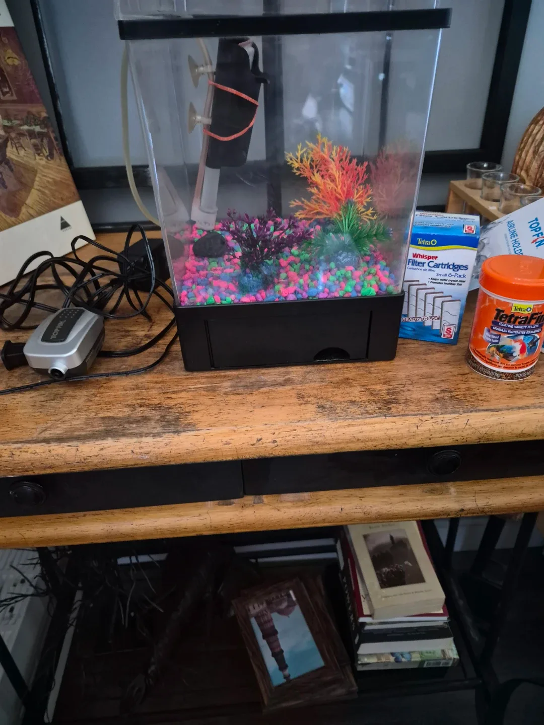 Top Fin Aquarium Tank Setup