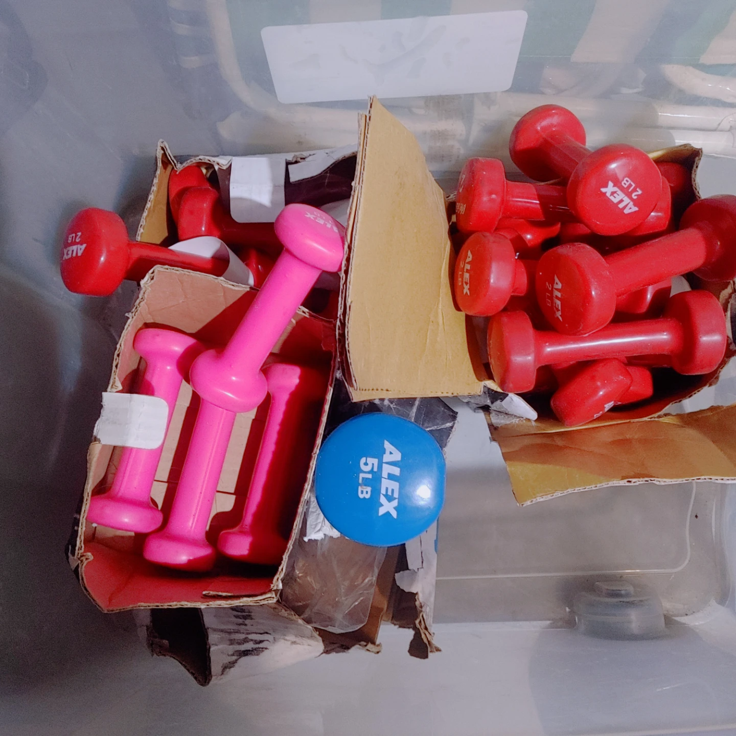 ALEX Dumbbell Set - Assorted Sizes