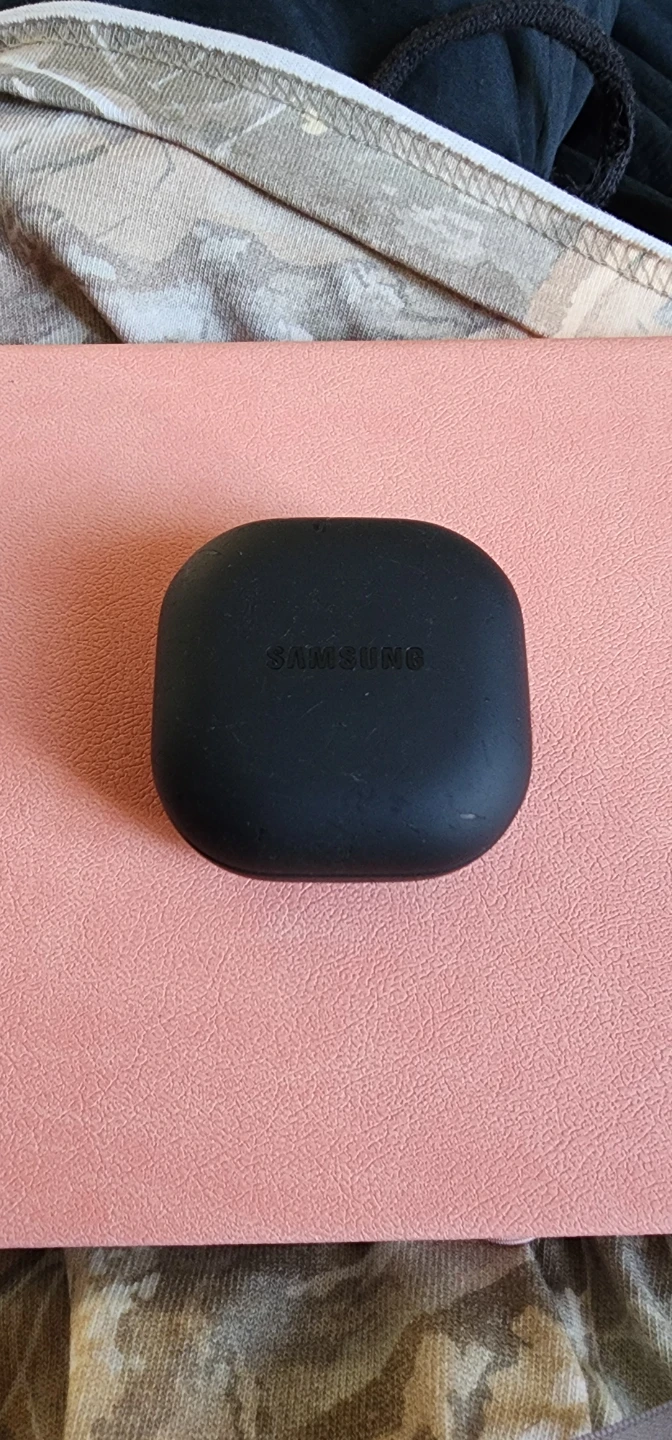 Samsung Galaxy Buds2 Pro Charging Case and Earbuds