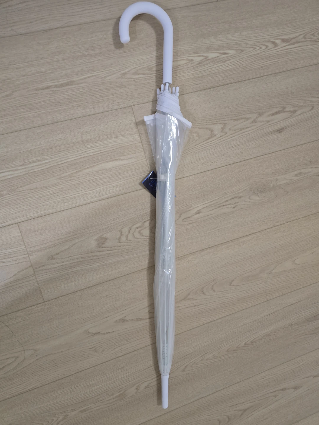 Clear Dome Umbrella, Used Once