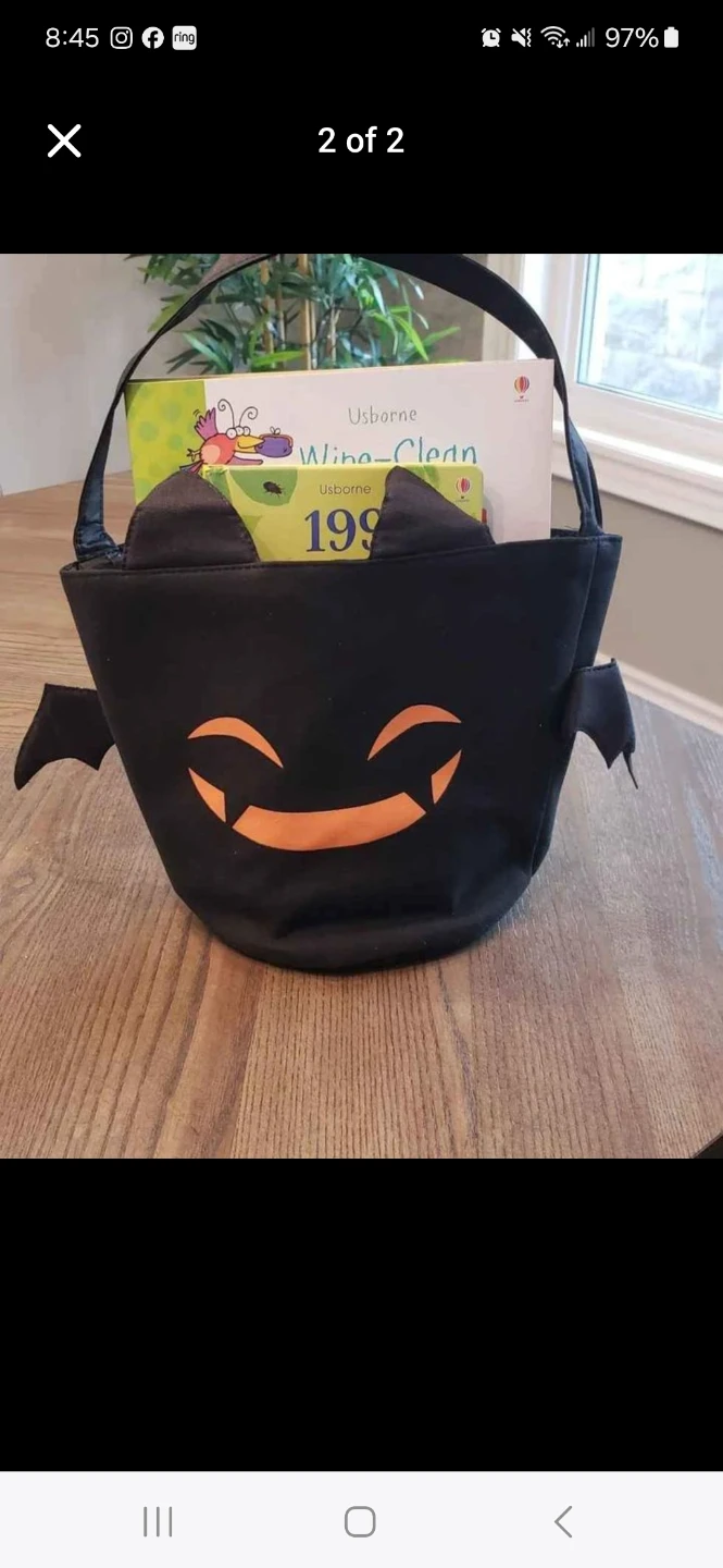Bat Halloween Trick-or-Treat Bag - photo 2