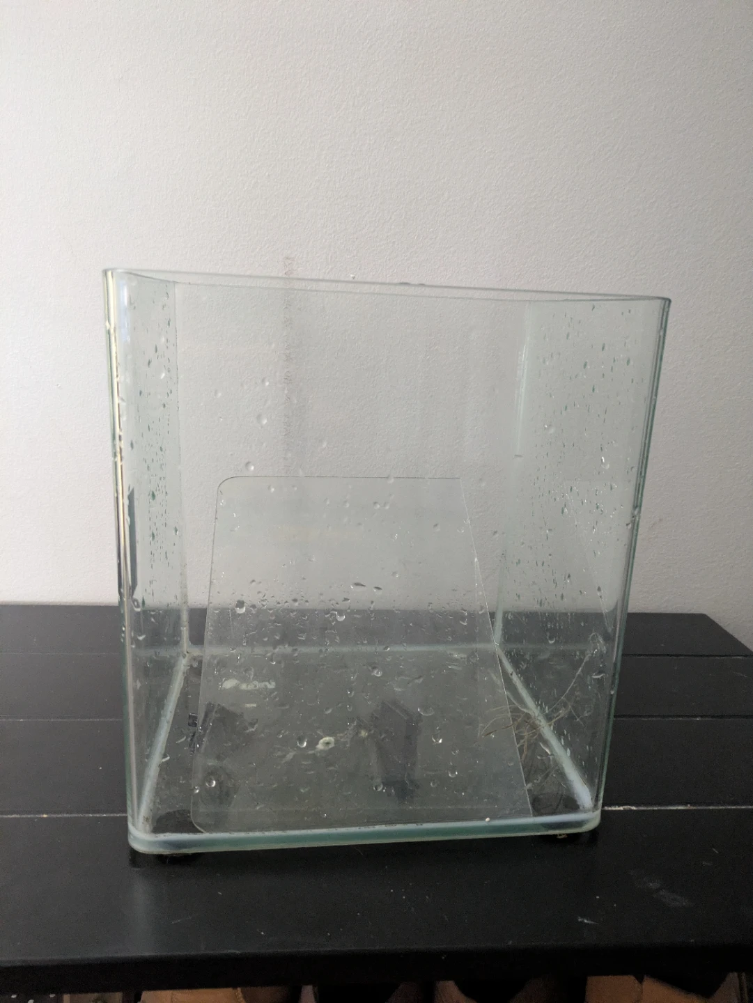 Free 5g tank - photo 3