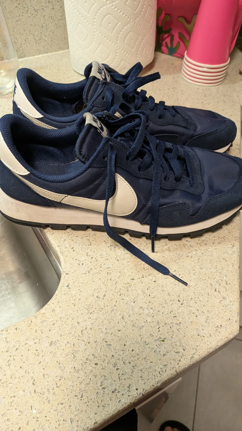 Nike Air Pegasus Sneakers (Sold As Is)  Men Size 9.5