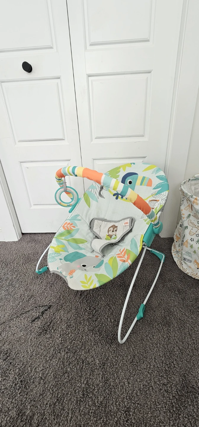 Baby Bouncer