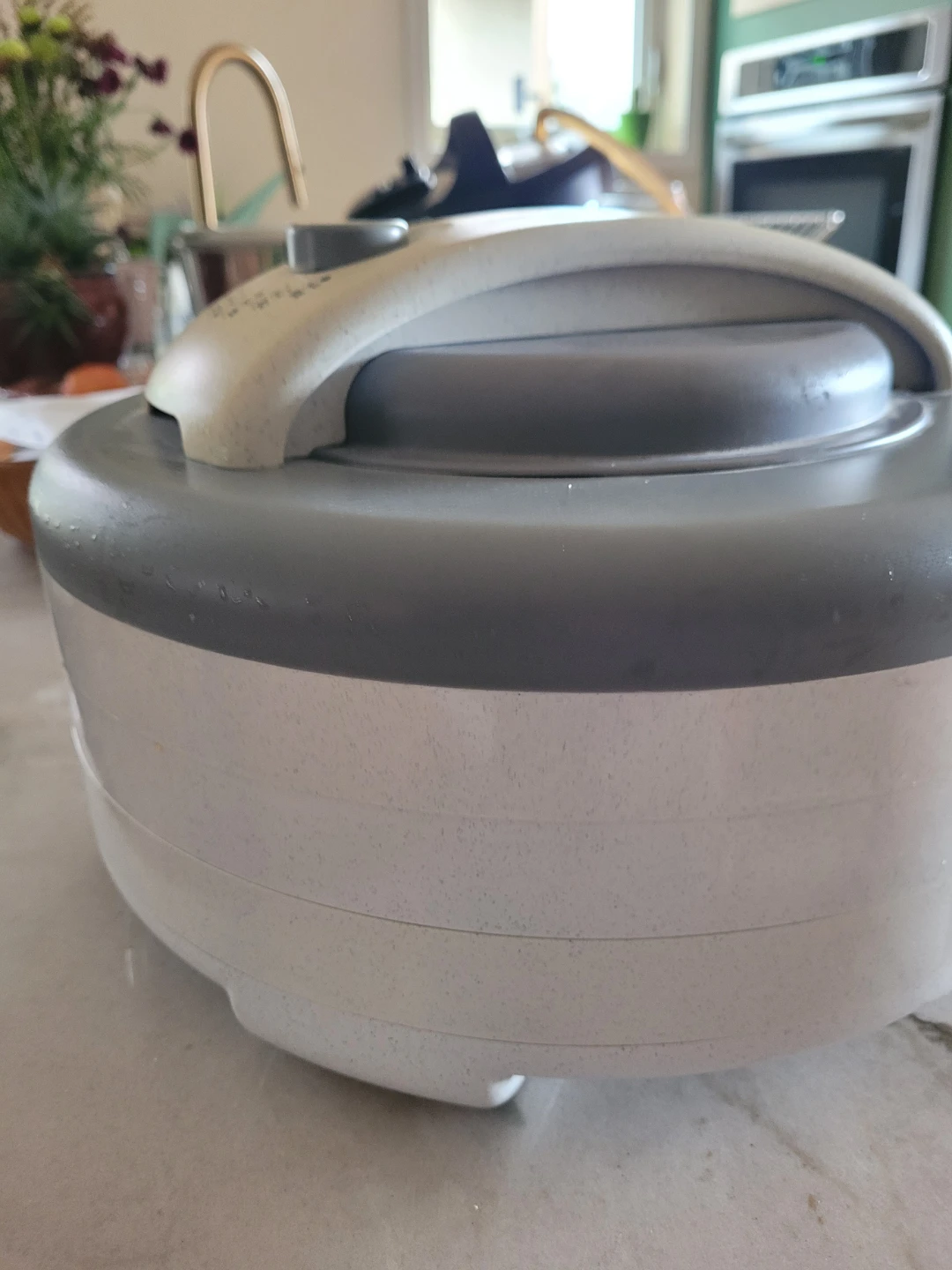 Nesco American Harvest Food Dehydrator & Jerky Maker - photo 2