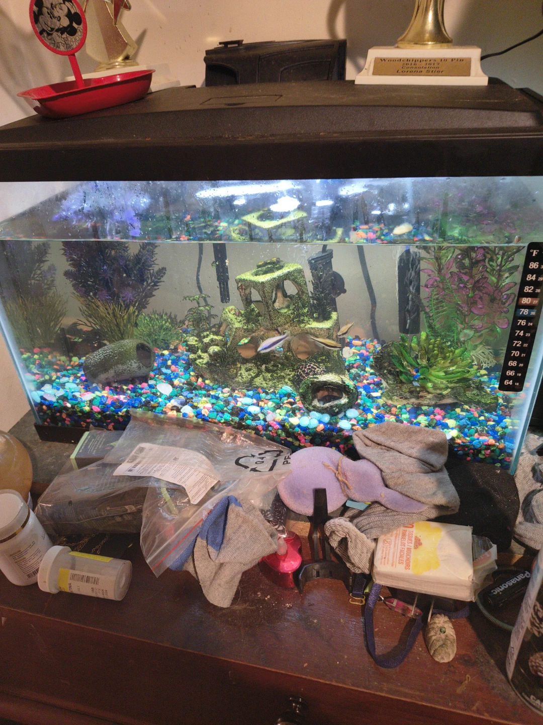Aqueon 10 Gallon LED Aquarium Kit