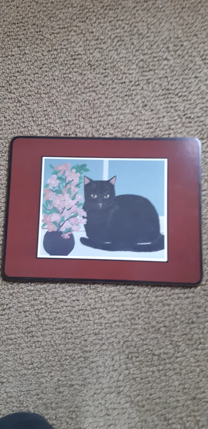 Set of 4 Cat Design Placemats - photo 2
