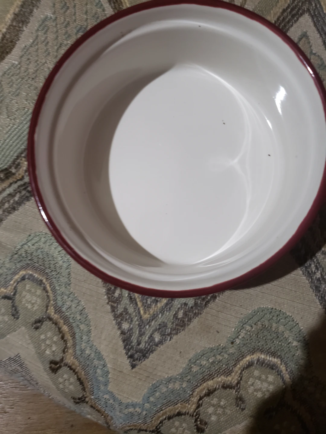 Red Ceramic Dog Bowl.  Spot brand - photo 2