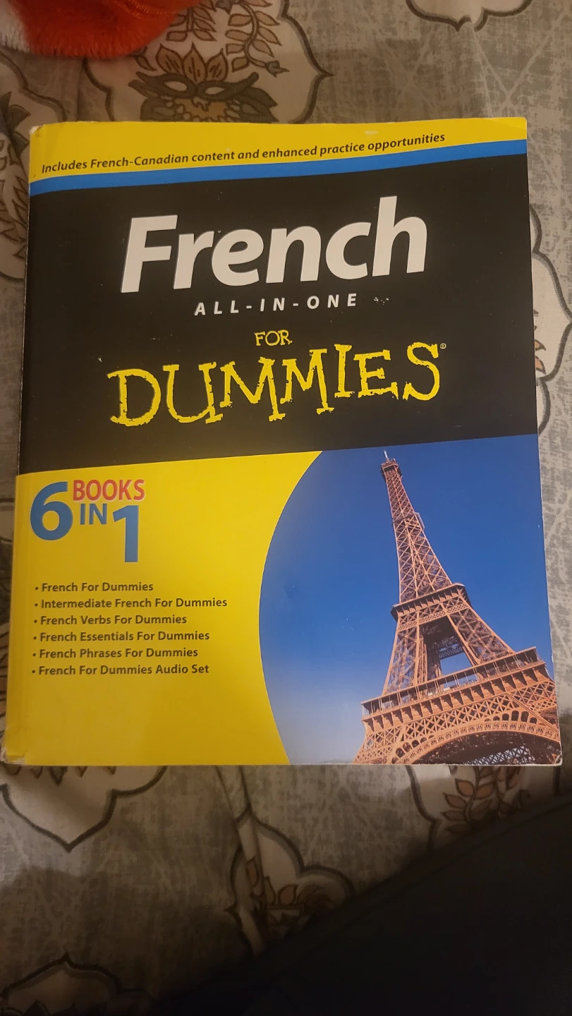 French All-in-One For Dummies 6-in-1 Book (with CD)