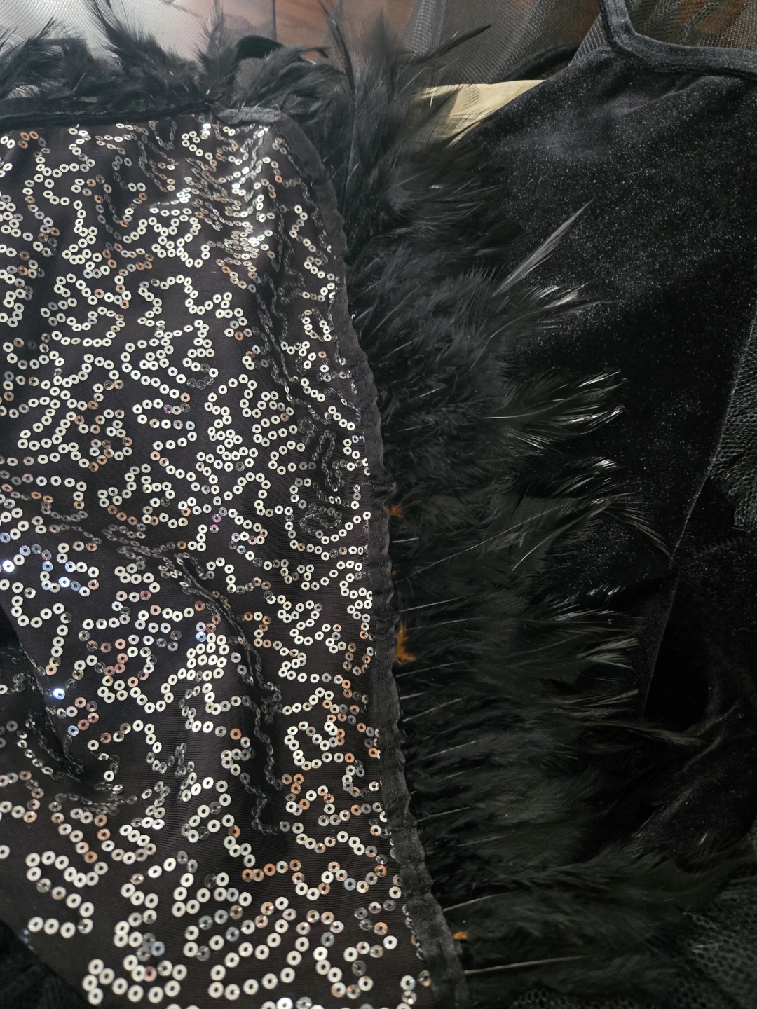 Black Velvet Sequin and Feather Ballet Tutu costume - photo 4