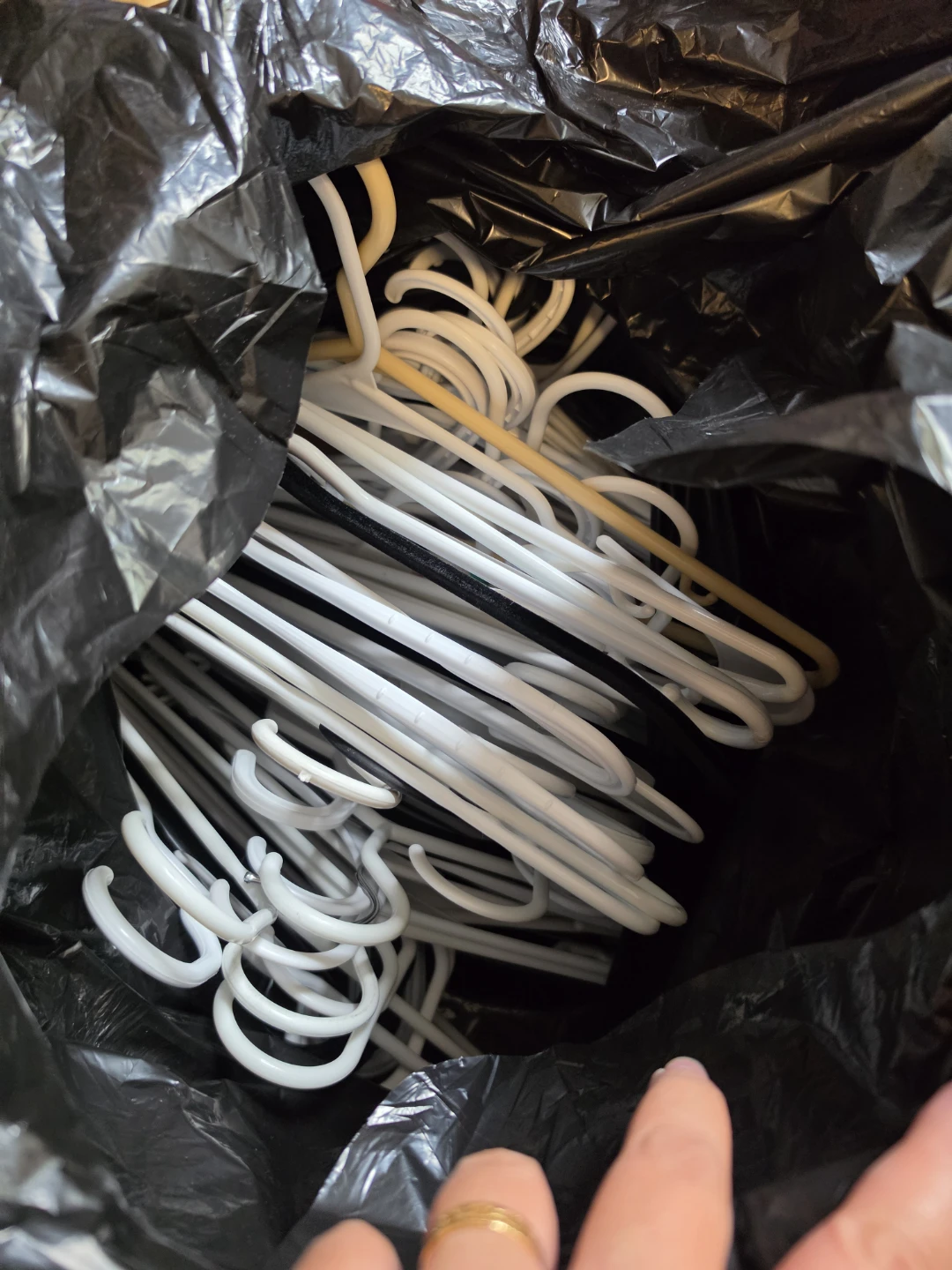 Free Hanger - photo 3