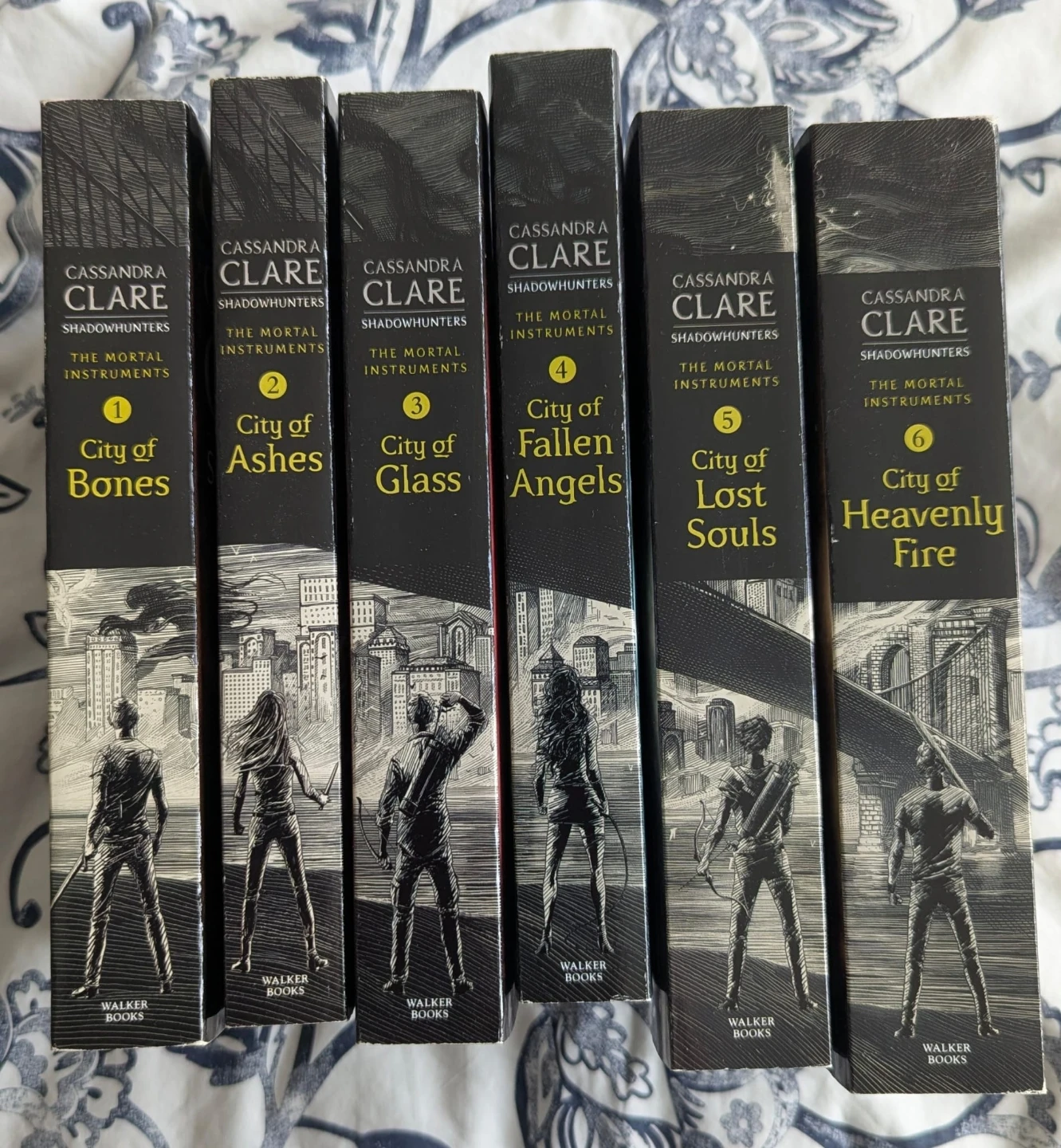 The Mortal Instruments series by Cassandra Clare