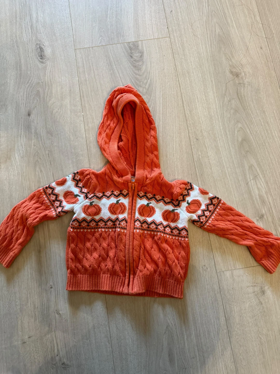 Gymboree Pumpkin Cable Knit Hoodie