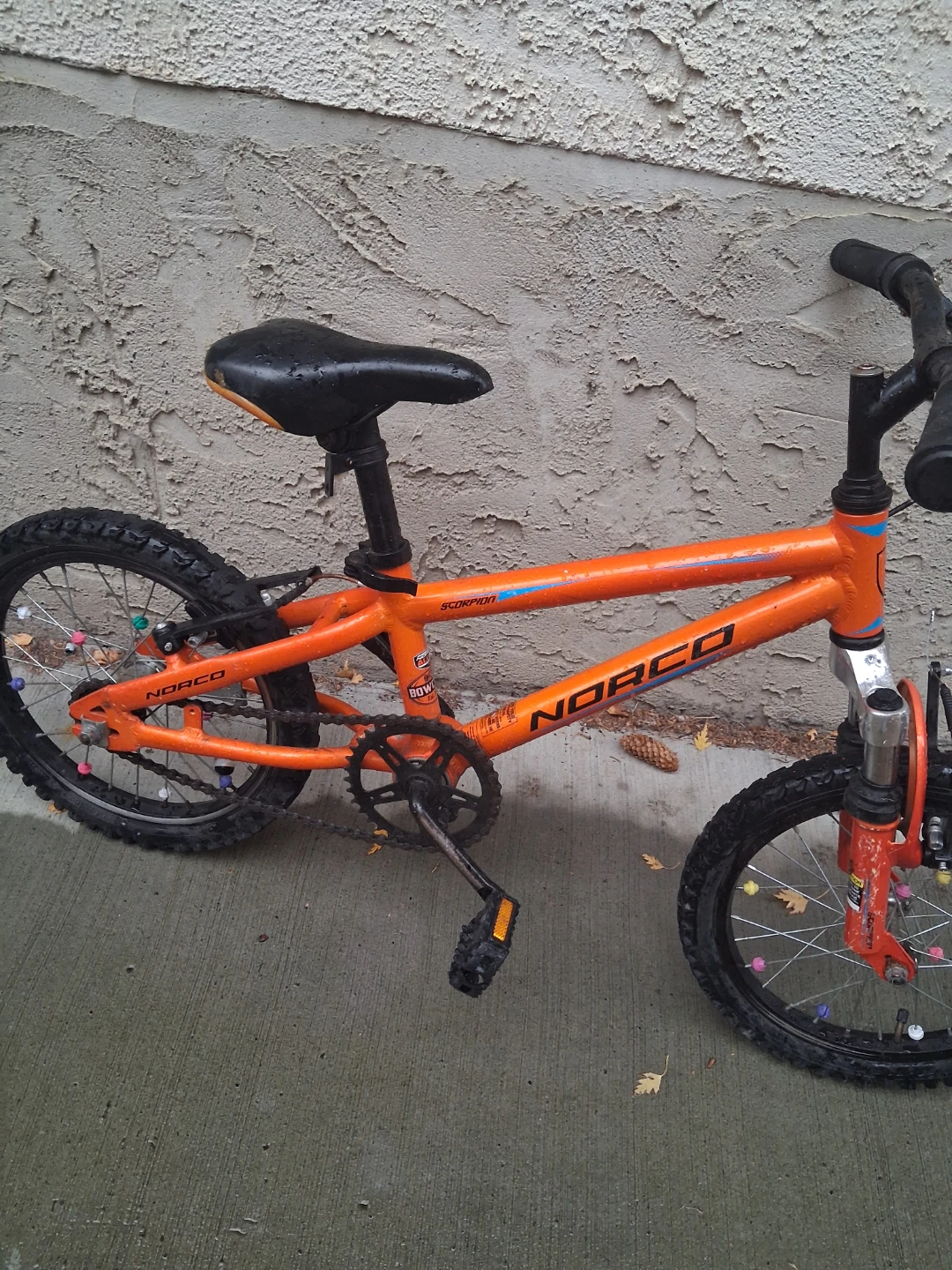 Norco Scorpion Kids Bike