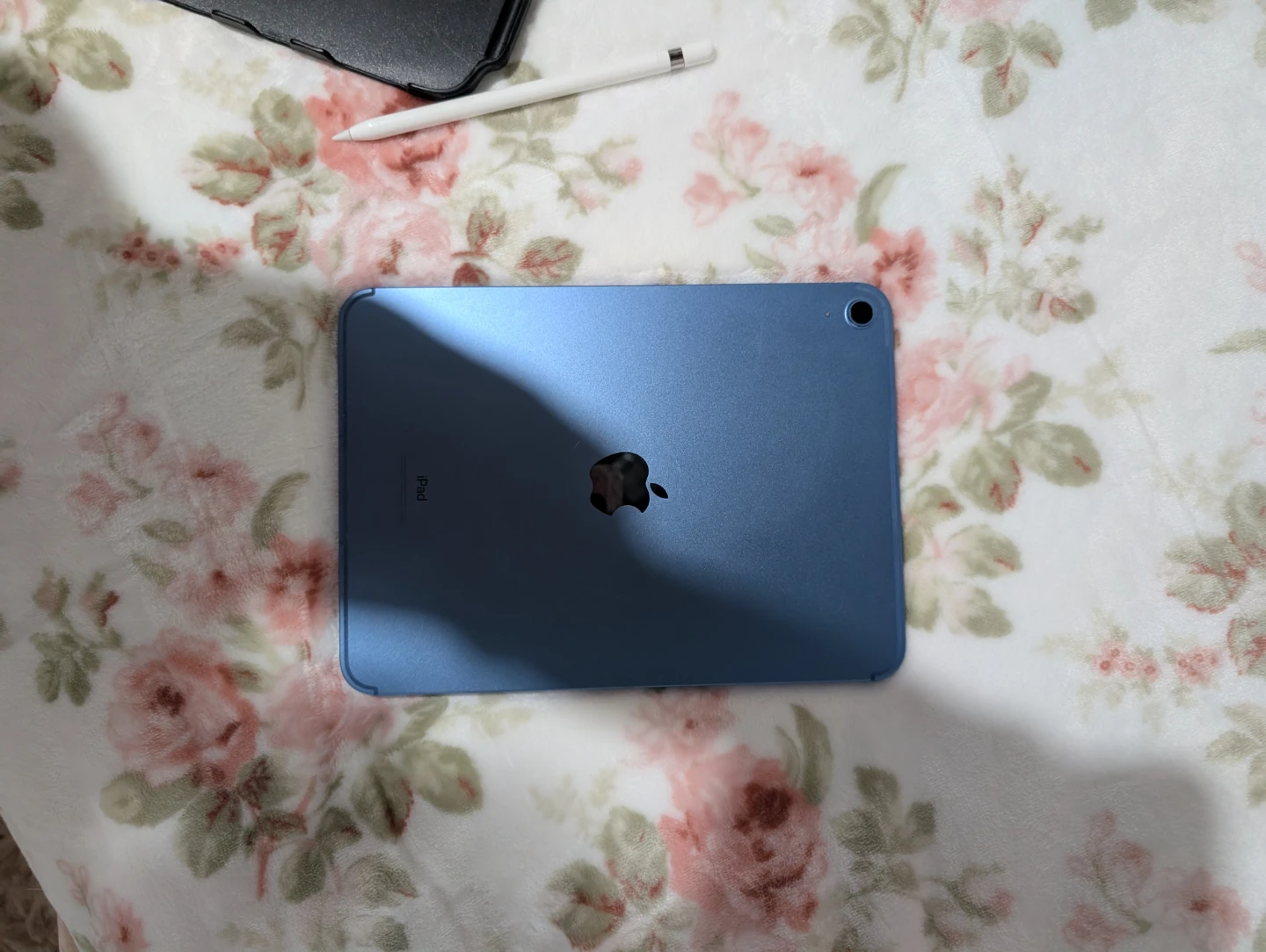 Blue Apple iPad with Protective Case