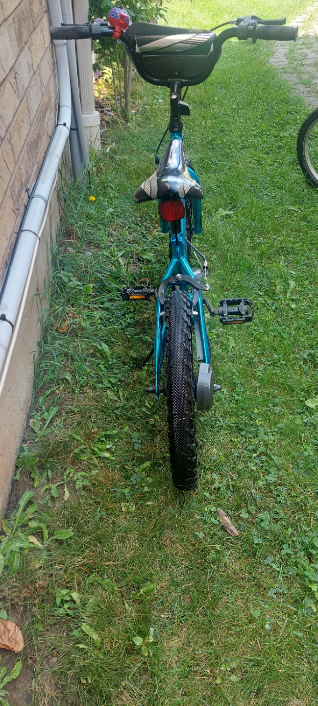 Avigo Drastic 16 inch Kids Bike - photo 5