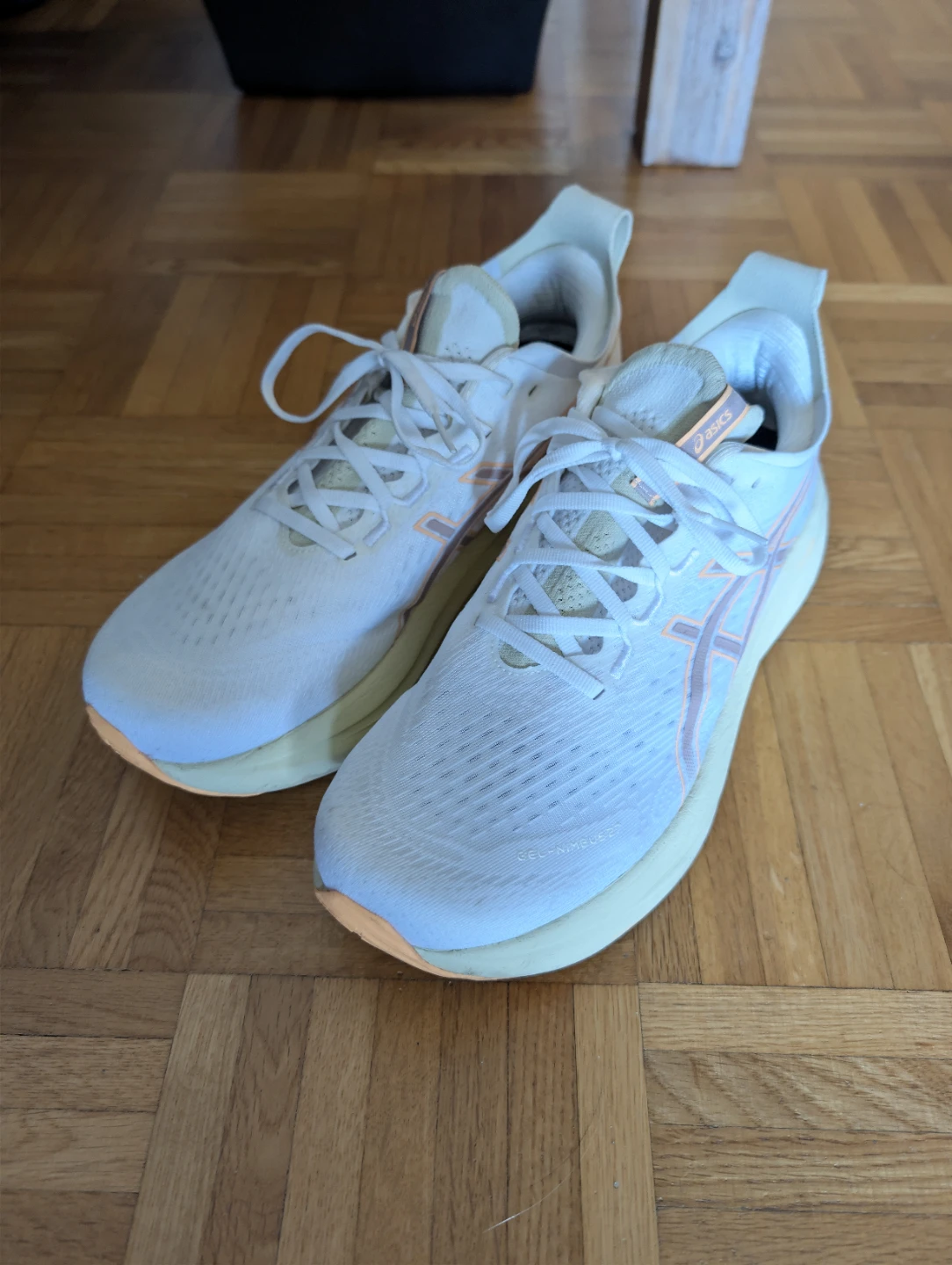 Asics Gel-Nimbus 25 Running Shoes