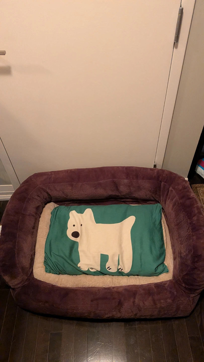 Dog Bundle various - photo 2