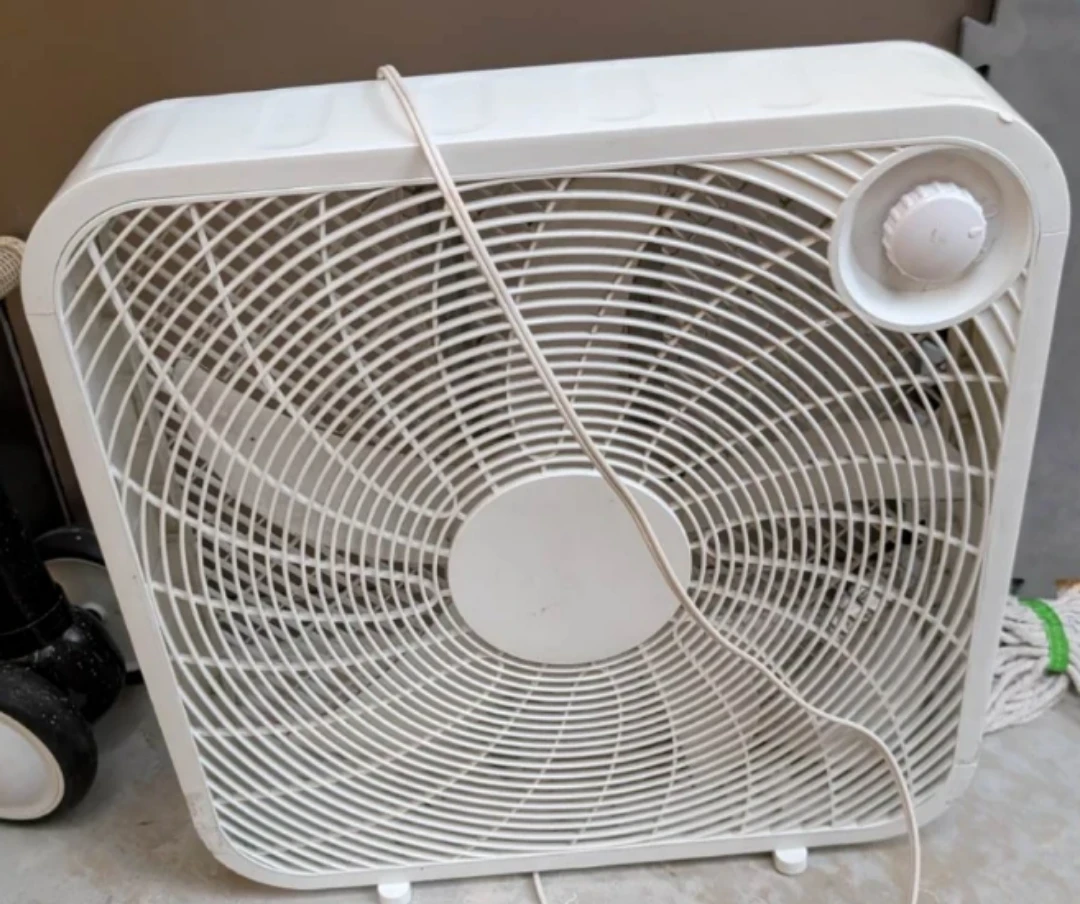 White Fan