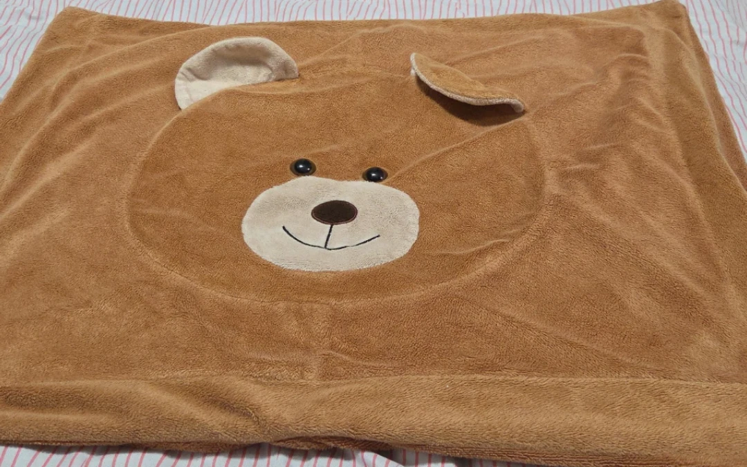 Brown Teddy  velvet cozy pillow cover