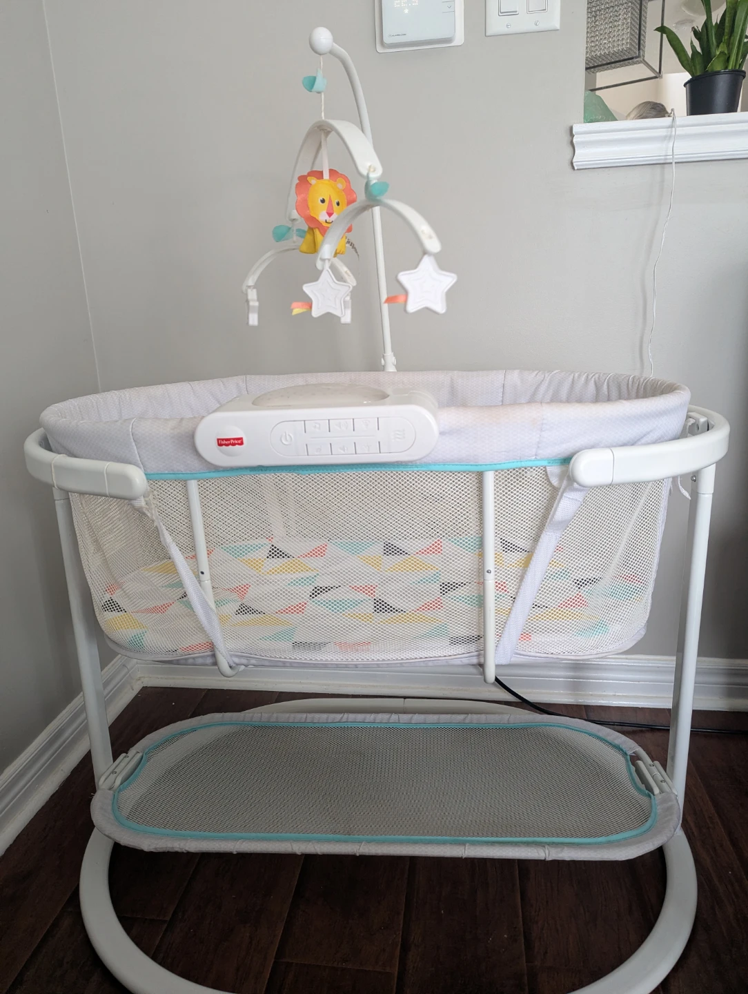 Fisher-Price Soothing Motions Bassinet