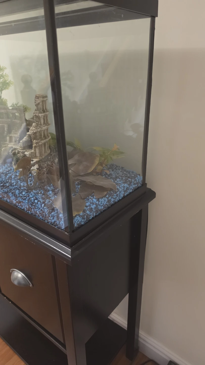 Glass Aquarium with Black Stand - photo 4