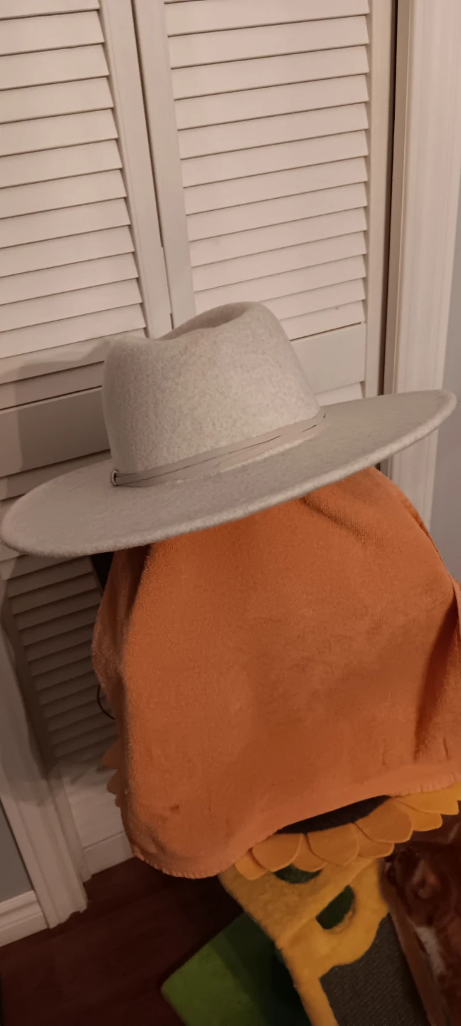 Time and Tru light grey felt fedora hat