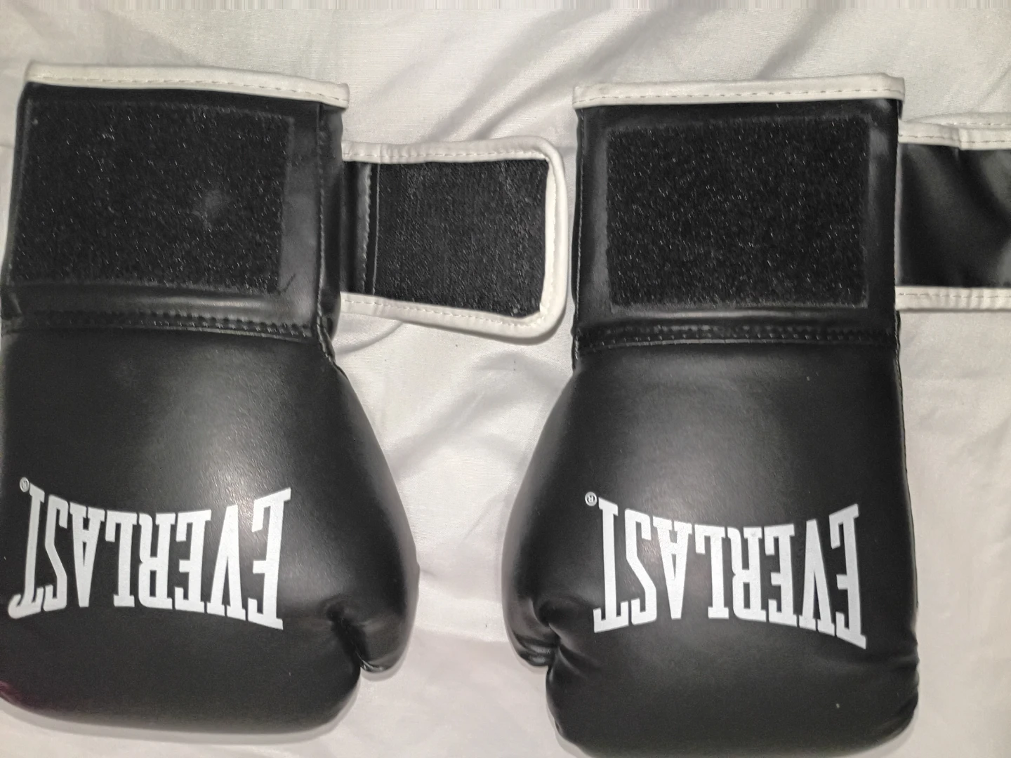 Everlast Boxing Gloves and Hand Wraps/Bag