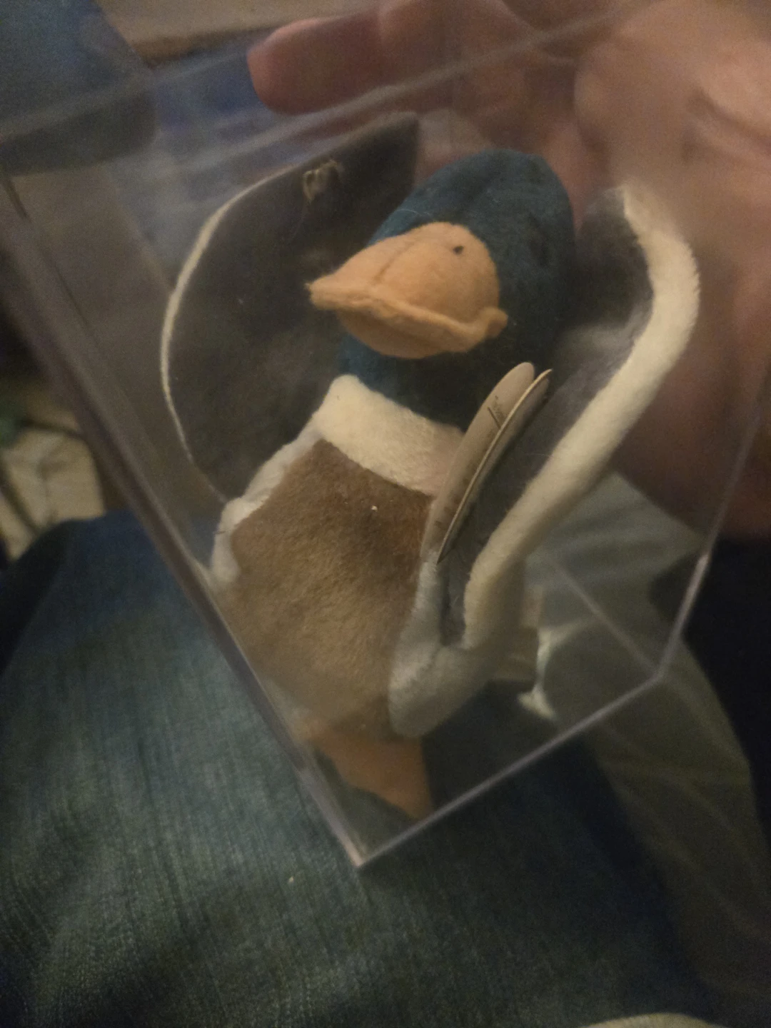 Ty Beanie Baby Puddles the Mallard Duck