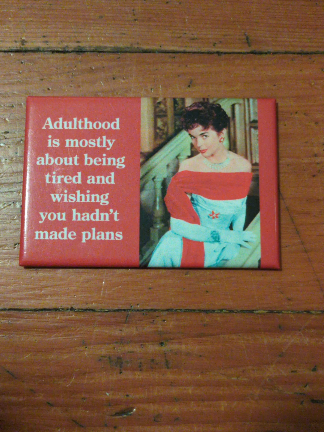 Humorous Fridge Magnet